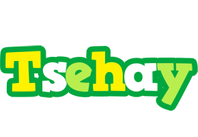 Tsehay soccer logo