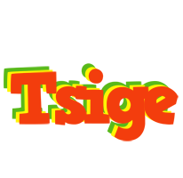 Tsige bbq logo