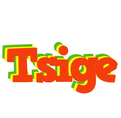 Tsige bbq logo