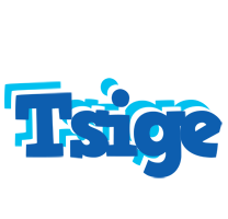 Tsige business logo