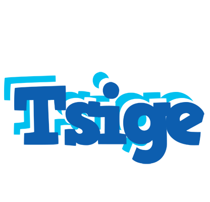 Tsige business logo