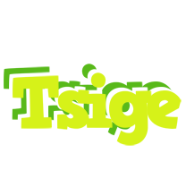 Tsige citrus logo