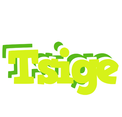 Tsige citrus logo