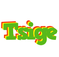 Tsige crocodile logo