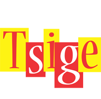 Tsige errors logo