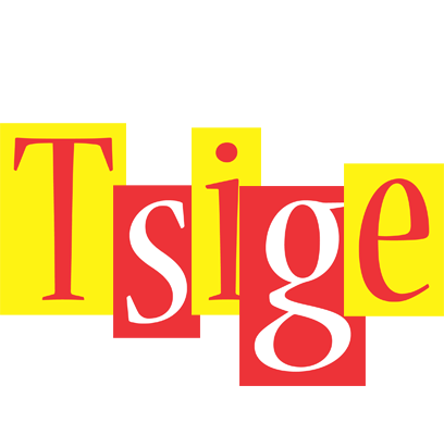 Tsige errors logo