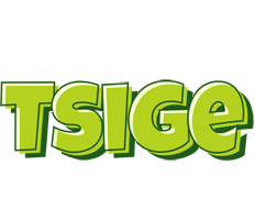 Tsige summer logo