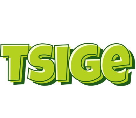 Tsige summer logo