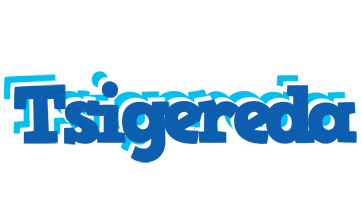 Tsigereda business logo