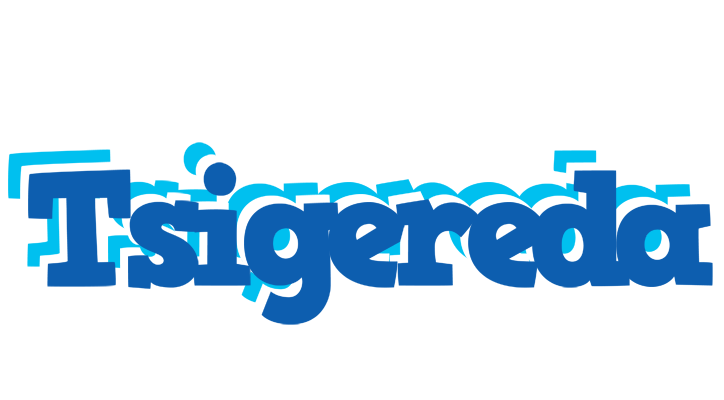 Tsigereda business logo
