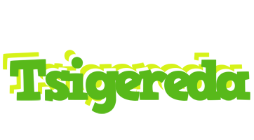 Tsigereda picnic logo