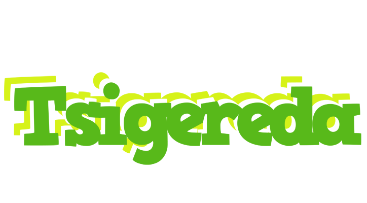 Tsigereda picnic logo