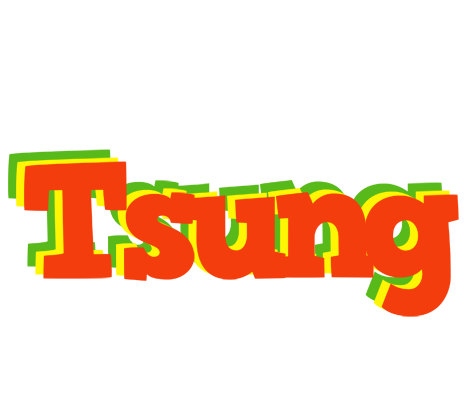 Tsung bbq logo