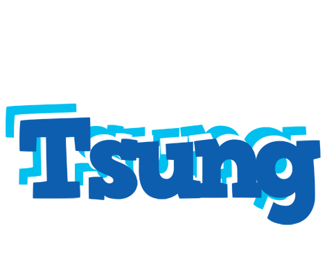 Tsung business logo