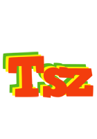 Tsz bbq logo