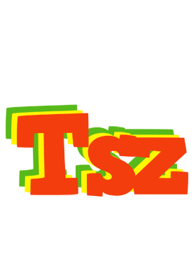 Tsz bbq logo
