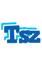 Tsz business logo