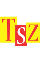 Tsz errors logo