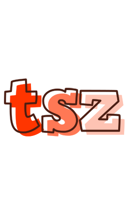 Tsz paint logo