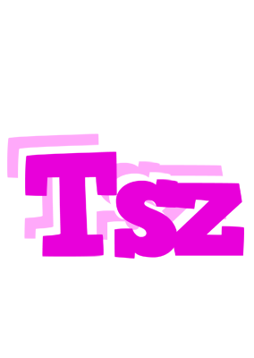 Tsz rumba logo