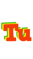 Tu bbq logo