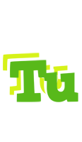 Tu picnic logo