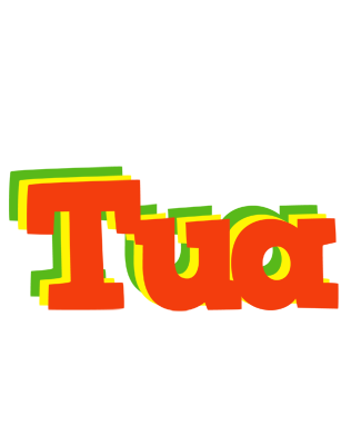 Tua bbq logo
