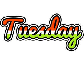 Tuesday exotic logo