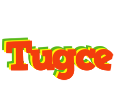 Tugce bbq logo