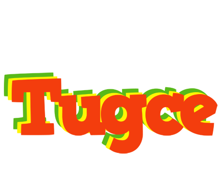 Tugce bbq logo