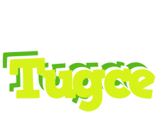 Tugce citrus logo