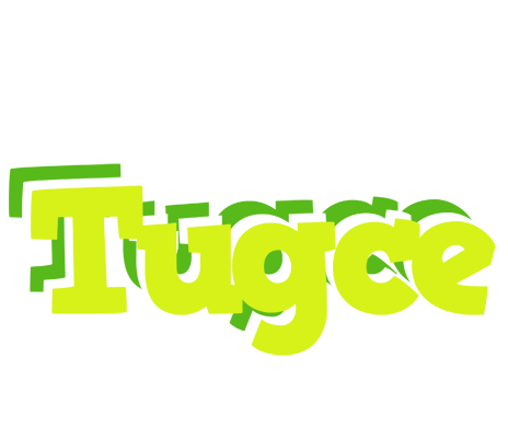Tugce citrus logo