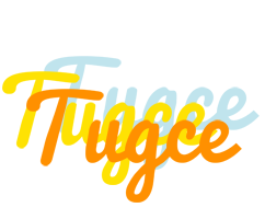 Tugce energy logo