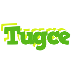 Tugce picnic logo