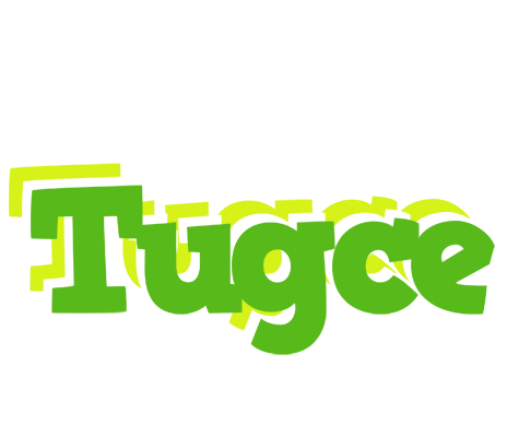 Tugce picnic logo