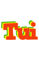 Tui bbq logo