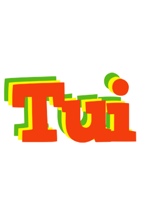 Tui bbq logo