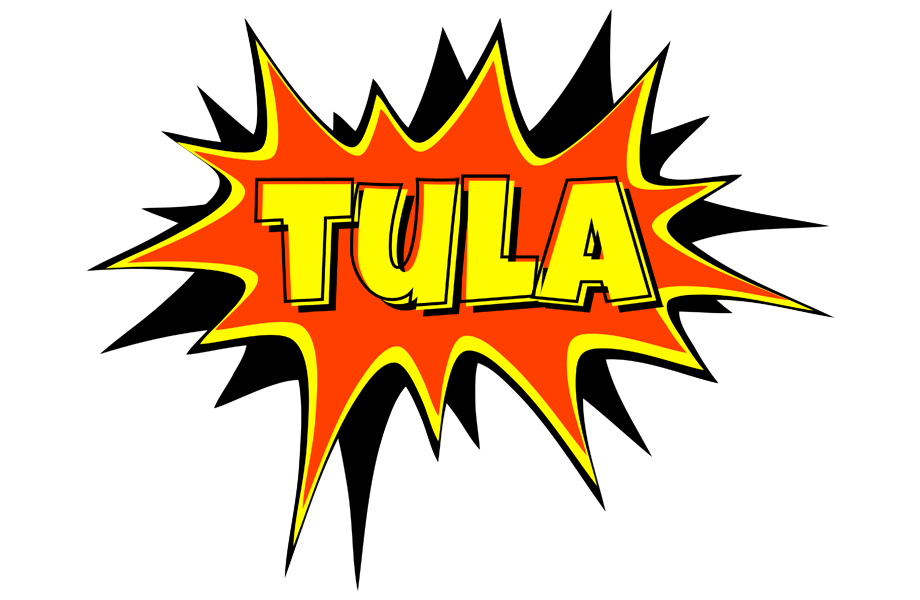 Tula bazinga logo