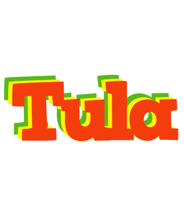 Tula bbq logo