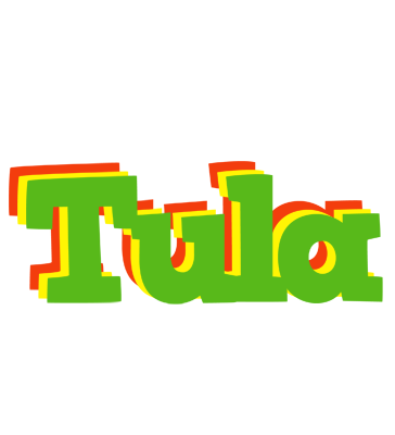 Tula crocodile logo