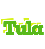 Tula picnic logo