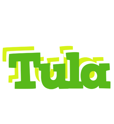 Tula picnic logo