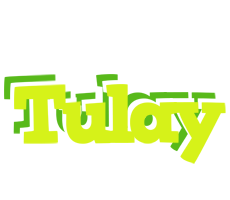 Tulay citrus logo