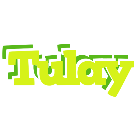 Tulay citrus logo