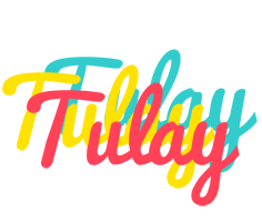 Tulay disco logo