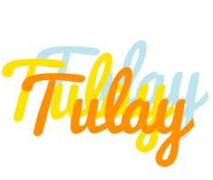 Tulay energy logo