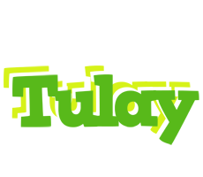 Tulay picnic logo