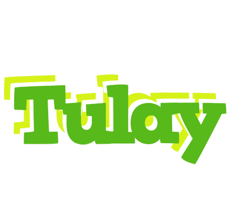 Tulay picnic logo