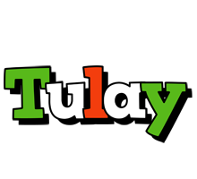 Tulay venezia logo