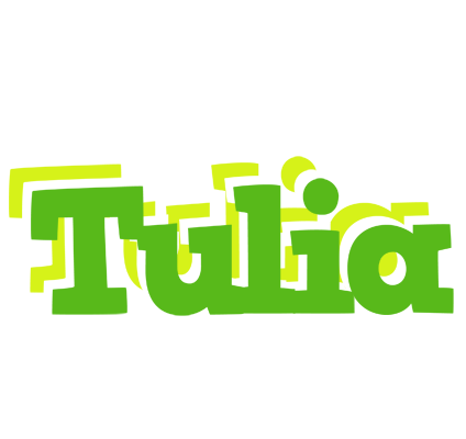 Tulia picnic logo